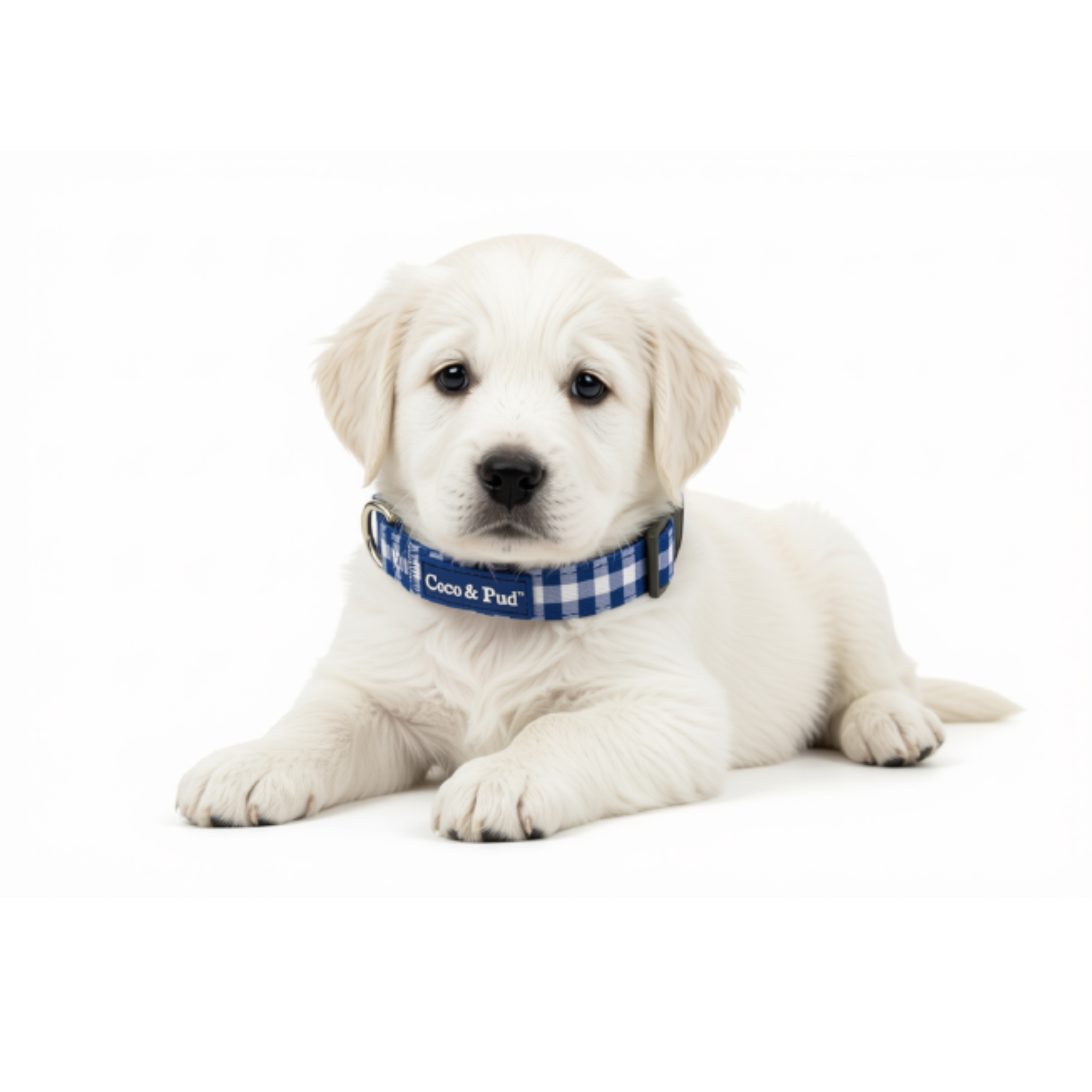 GINGHAM FRENCH NAVY DOG COLLAR XXS