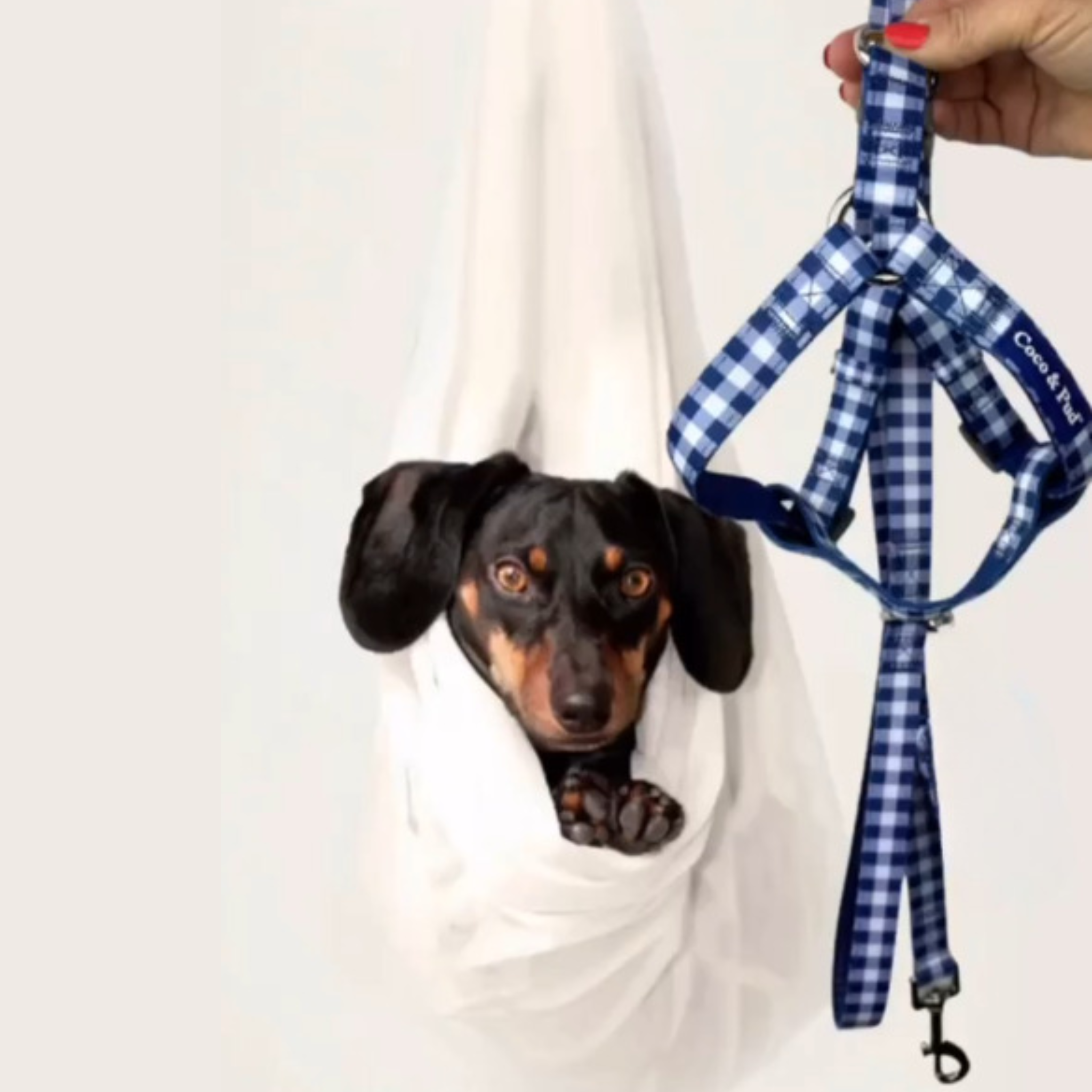 GINGHAM NAVY UNICLIP LITE HARNESS XS