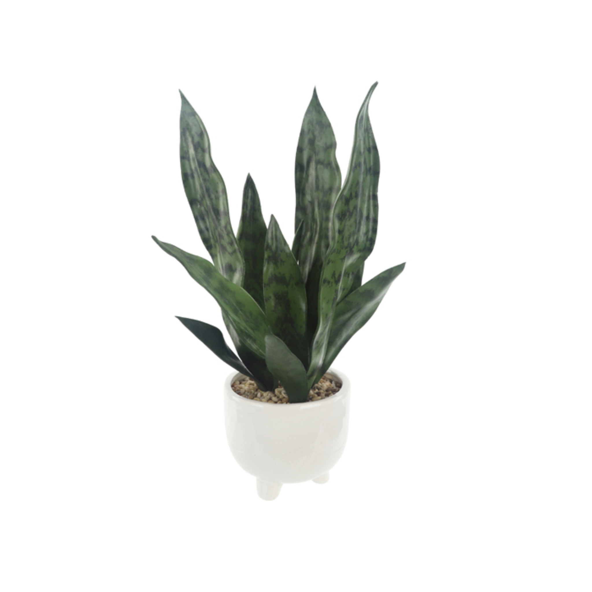 HOYLE CERAMIC PREMADE EVA SANSEVIERIA
