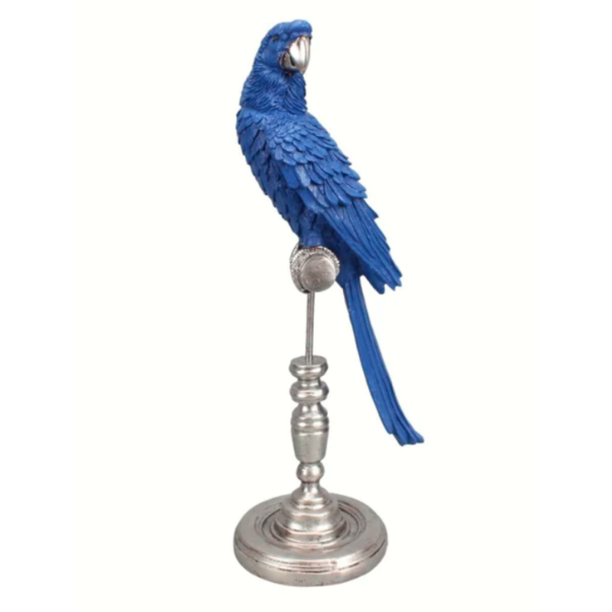 PERROQUET PLATINUM - SAPHIRE