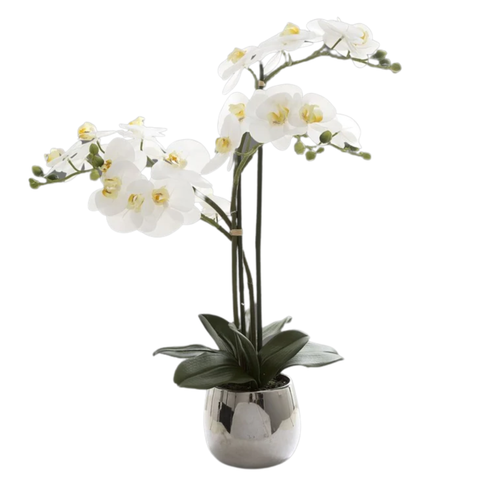 PHALAENOPSIS WHITE - FAUX ORCHID IN SILVER POT