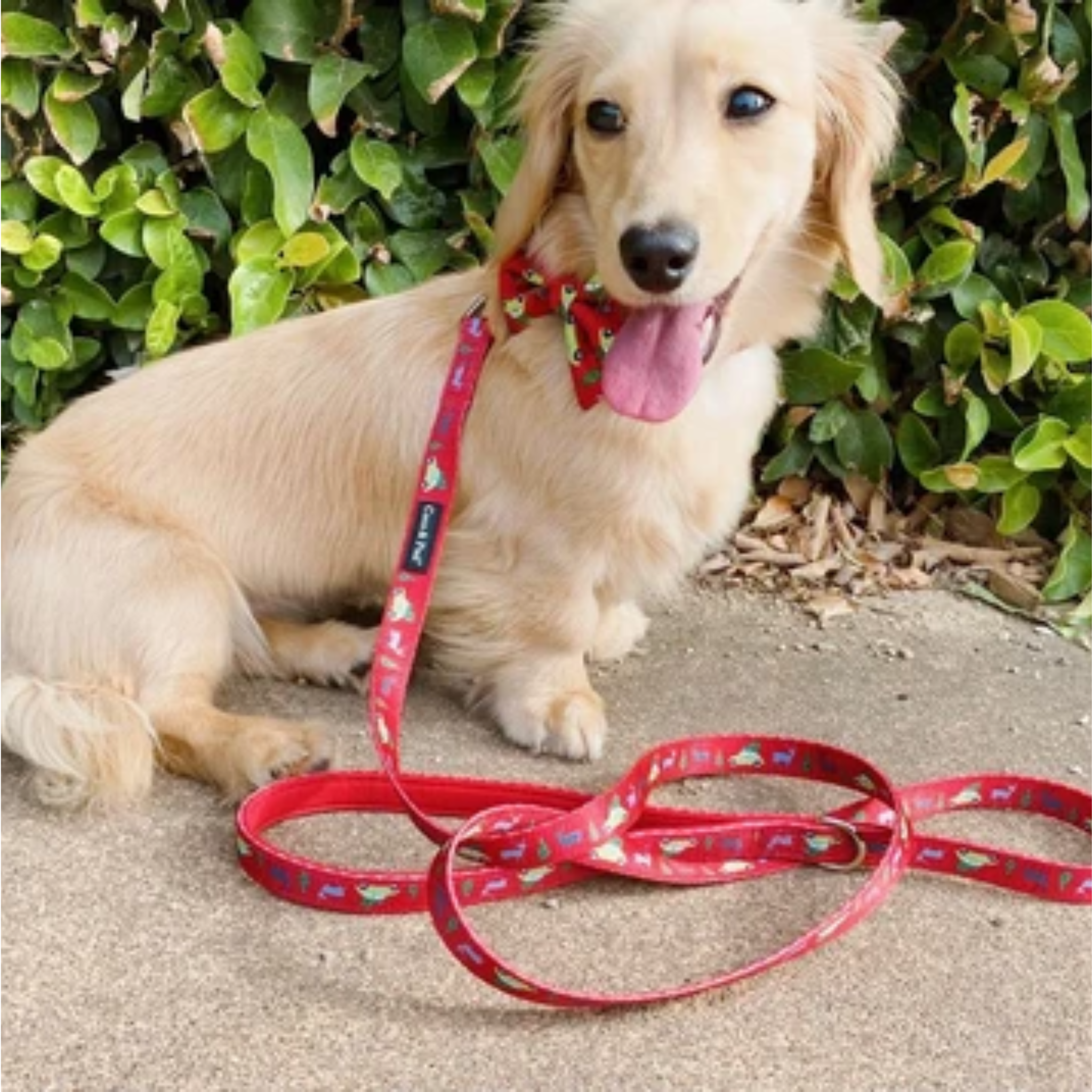DECK THE PAWS DOG CHRISTMAS LEAD M