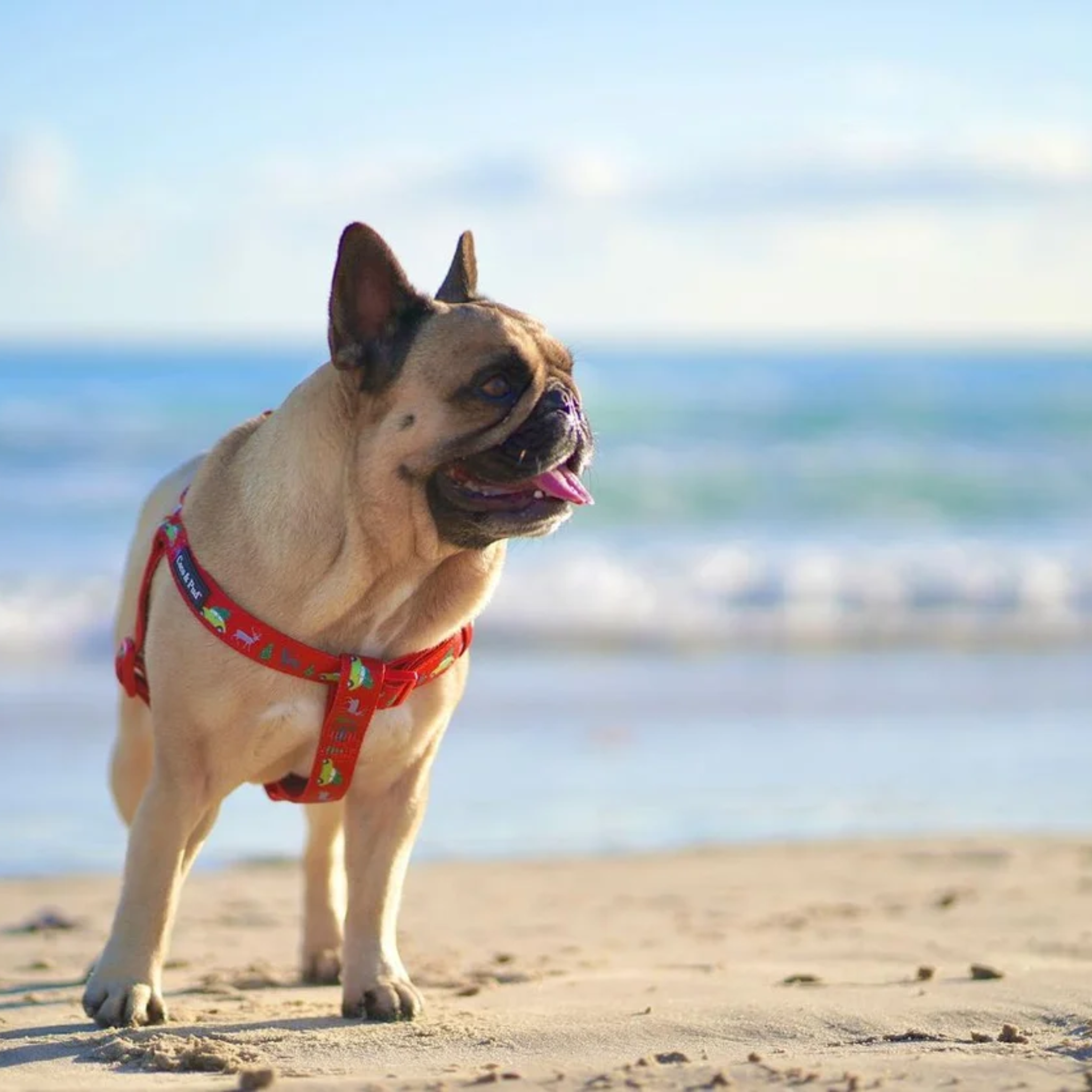 DECK THE PAWS UNICLIP LITE CHRISTMAS HARNESS ML