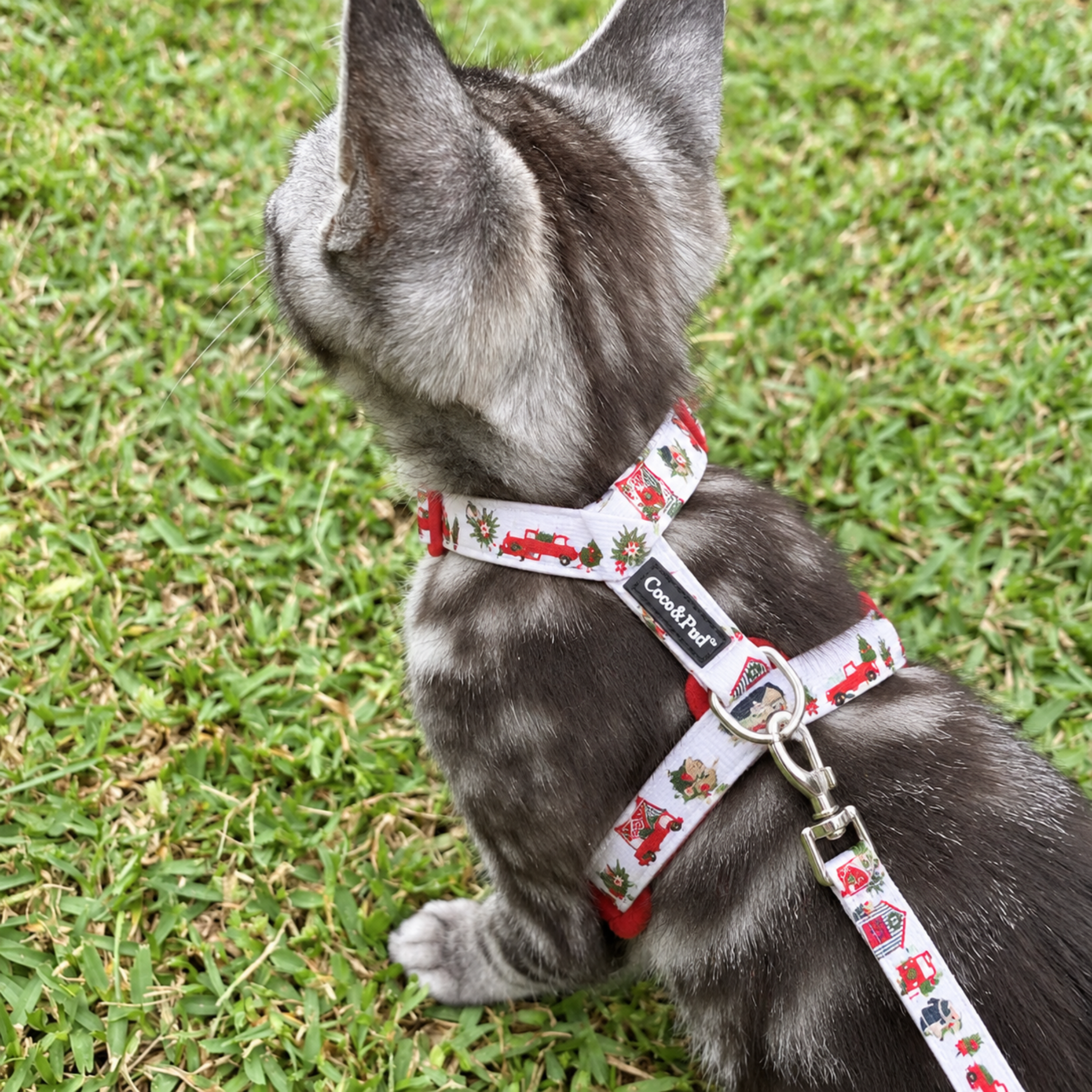 HOME FOR CHRISTMAS CAT HARNESS