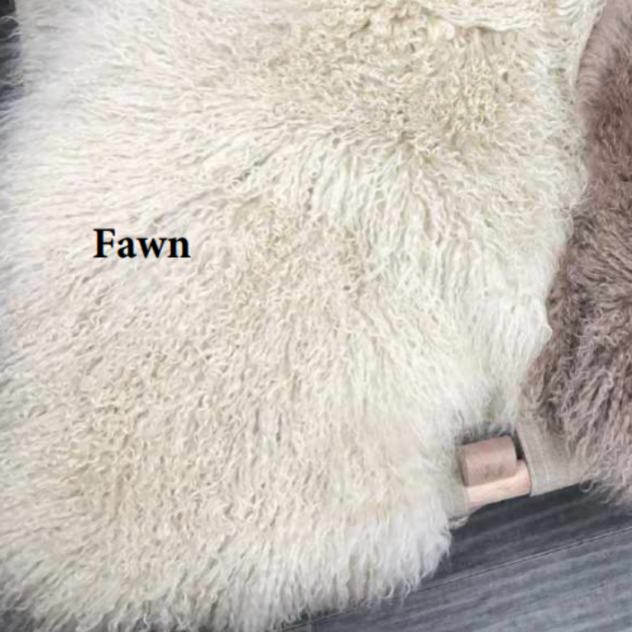 MONGOLIAN SHEEPSKIN RUG - FAWN