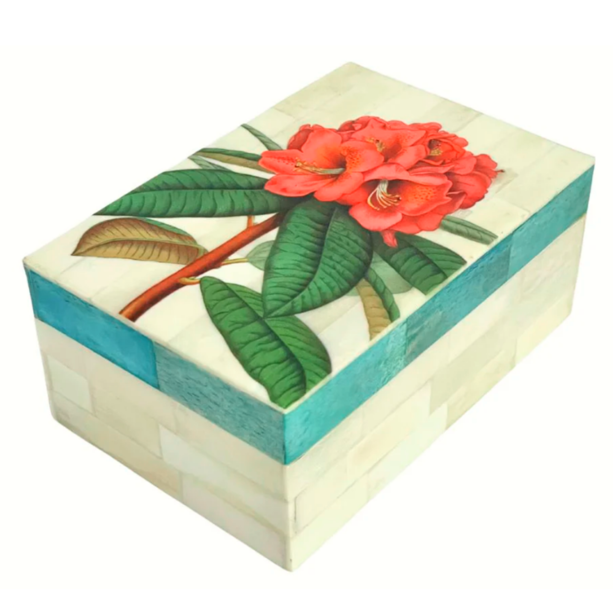 RHODODENDRON PARADISO BOX