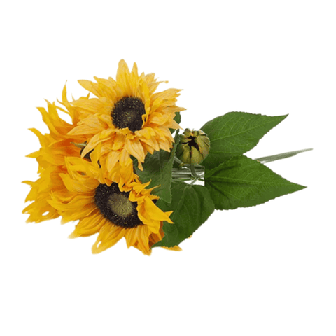 SUNFLOWER BOUQUET YELLOW 45CML - Bowerbird on Argyle