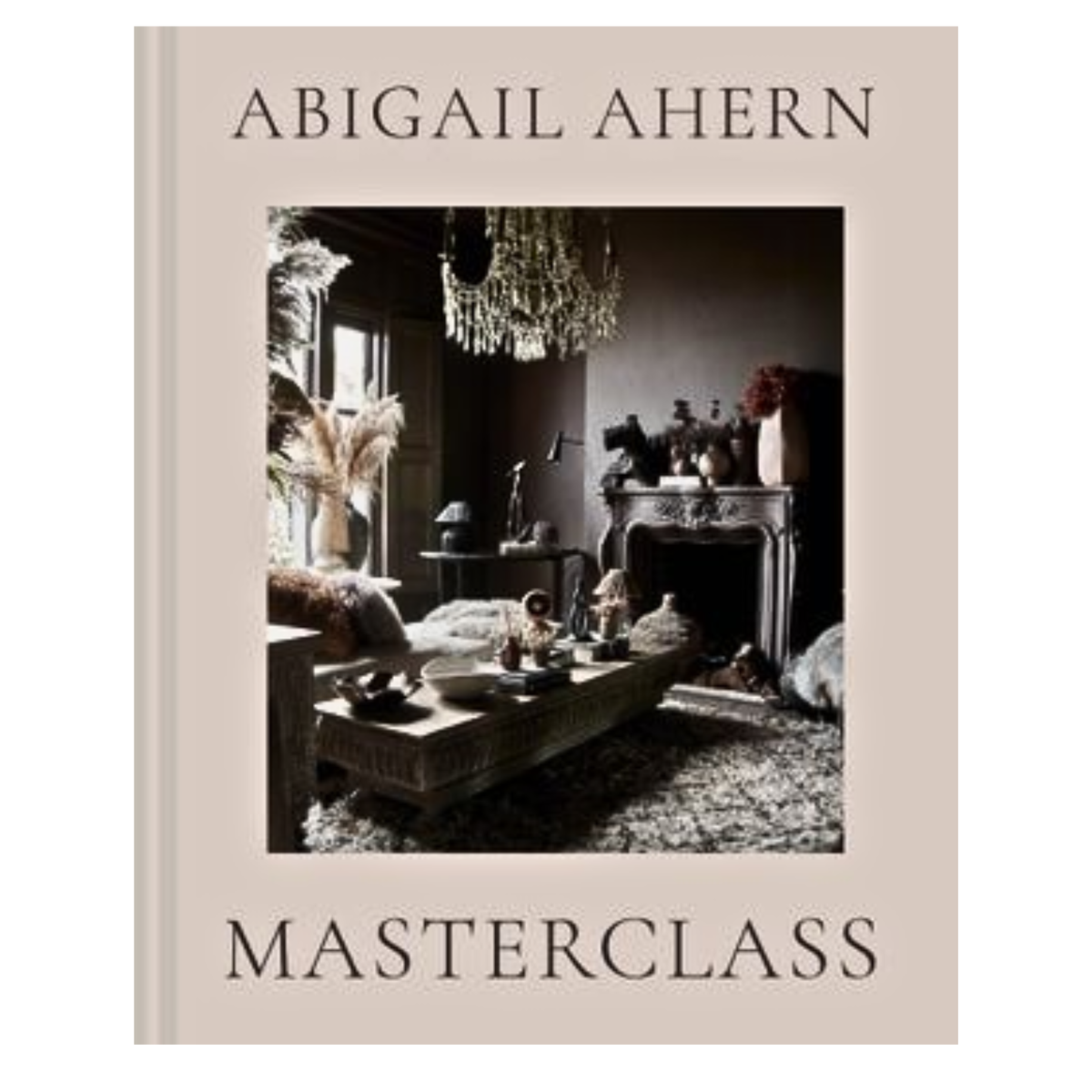 ABIGAIL AHERN'S MASTERCLASS - ABIGAIL AHERN