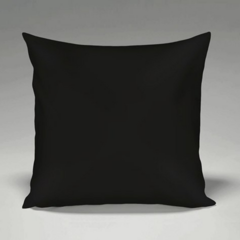 "ONCE UPON A TIME' HANDMADE FEATHER CUSHION -MEXICO