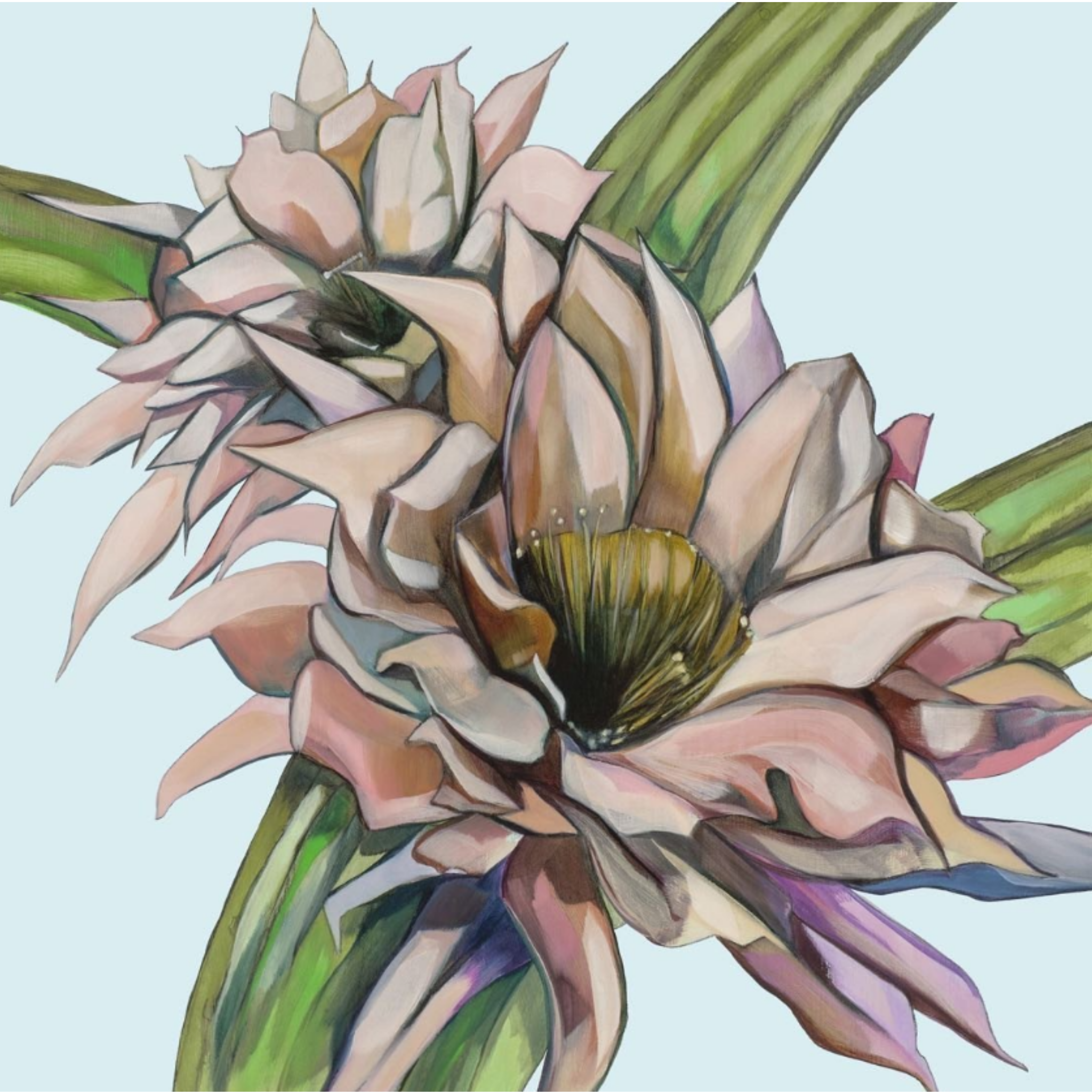 'BORZI CACTUS' BIRCH PLYWOOD - LIMITED EDITION - KATE JARMAN