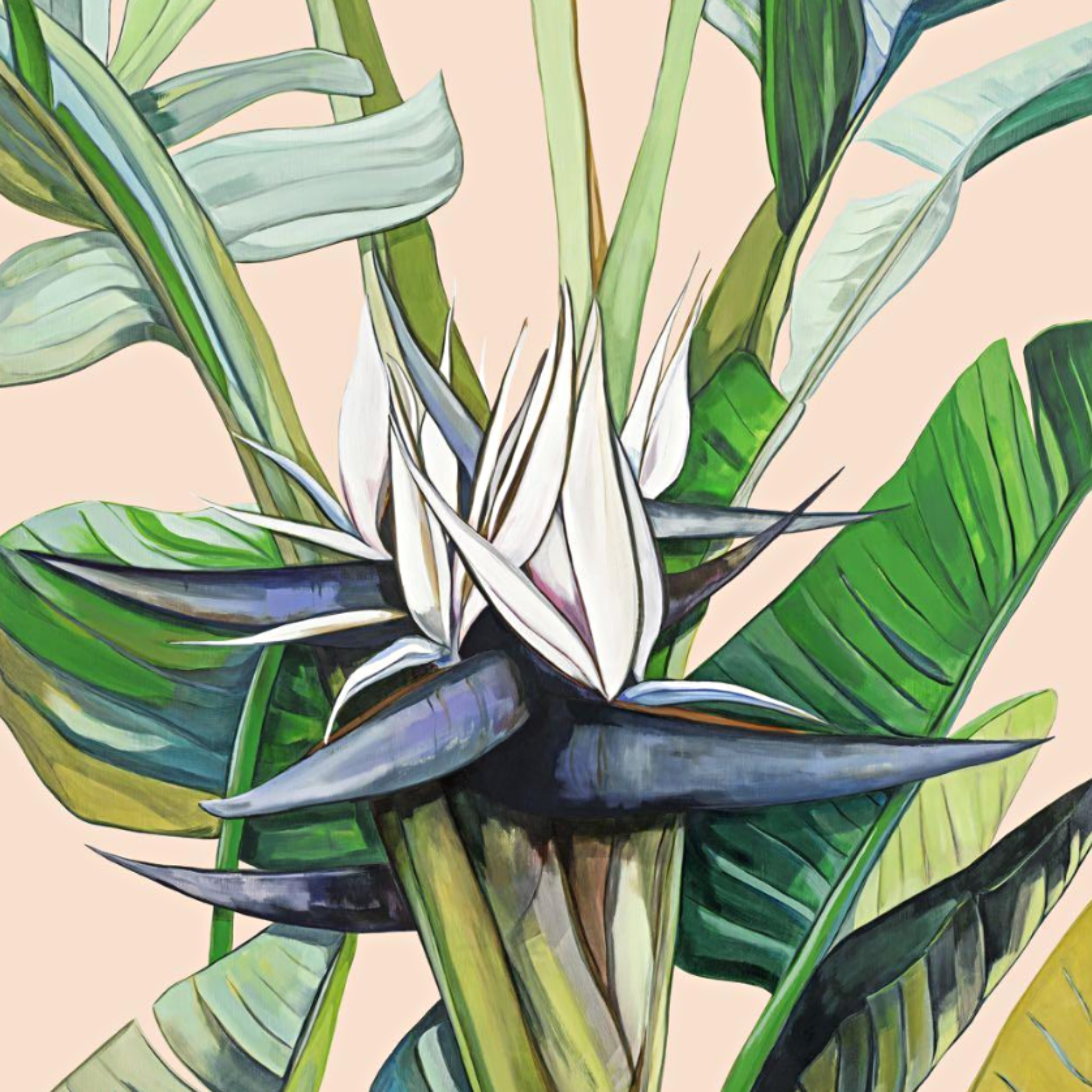 'PARADISE PEACH' OAK FRAMED LIMITED EDITION PRINT - KATE JARMAN