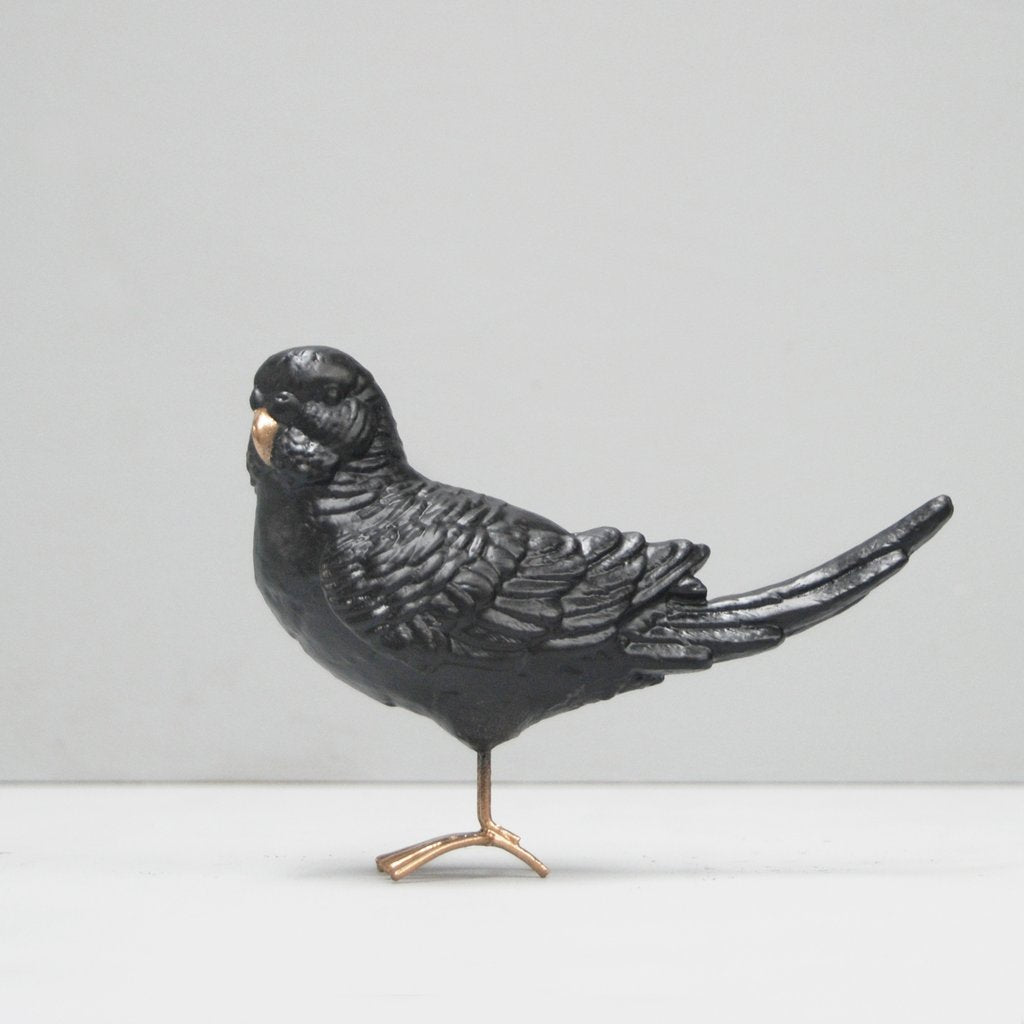 BUDGIE - BLACK AND GOLD