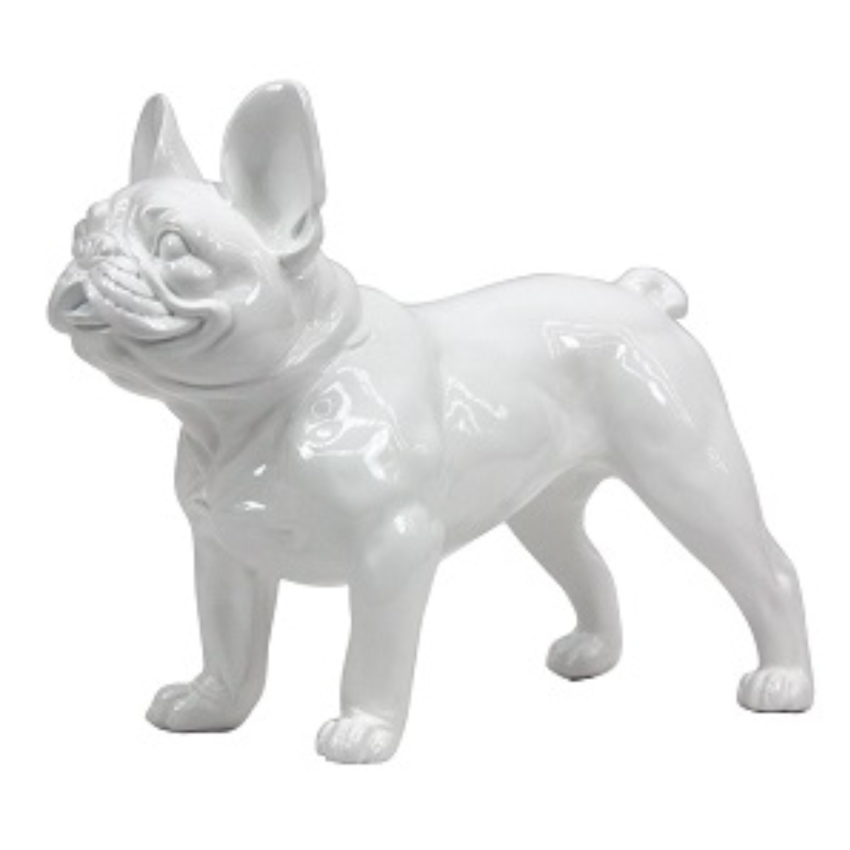 FRENCH BULLDOG STANDING - WHITE