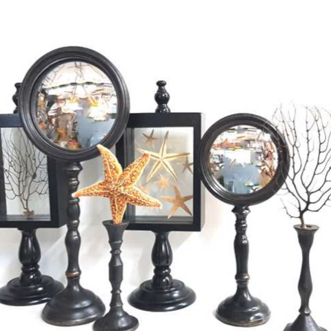 STARFISH IN SHADOWBOX 28CM (H)